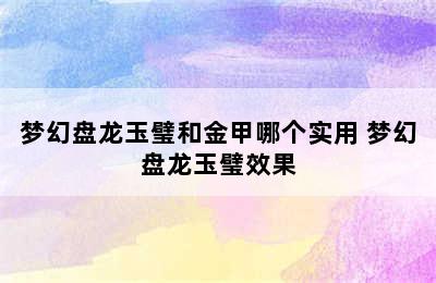 梦幻盘龙玉璧和金甲哪个实用 梦幻盘龙玉璧效果